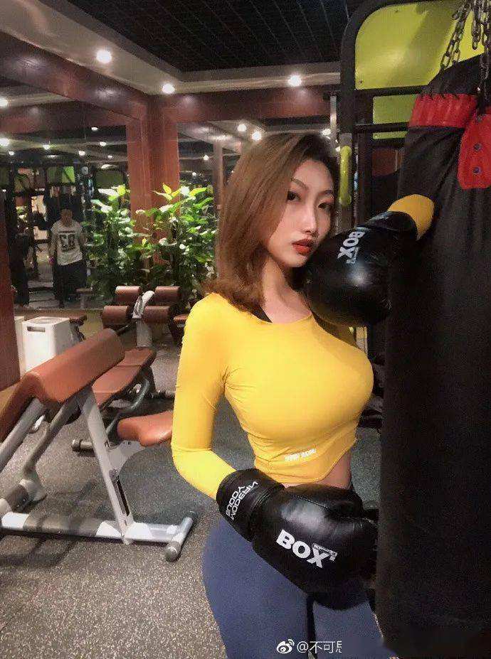五大王国之传说中文版下载