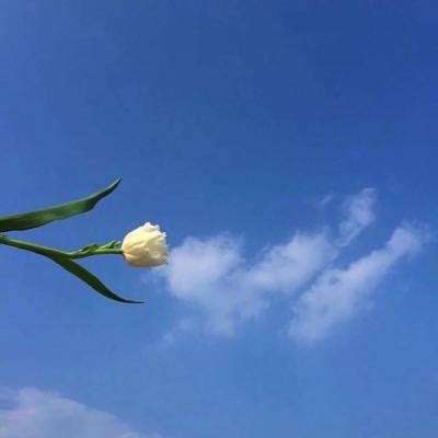 迷你世界百度最新版下载