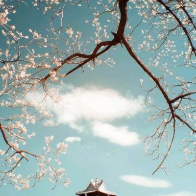 枪爆三国游戏(暂未上线)v1.1 官方安卓版