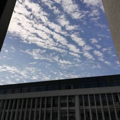 机场管理员日记游戏下载